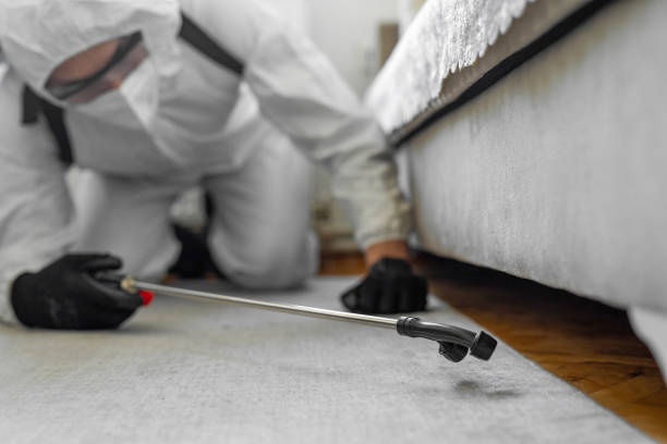 Professional Ant Control technician working in King Cove, AK