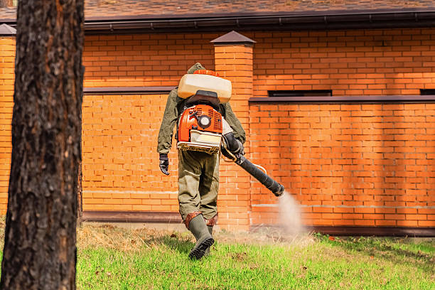 Trusted Bed Bug Control service in King Cove, AK - Nex Pest Control